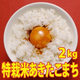 【2kg×1袋】令和7年産 だわり 特別栽培米秋田県仙北産あ...