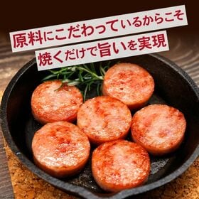 【300g×5本】長崎 雲仙ハム5本セット