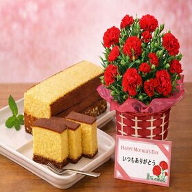 【予約受付】5/7~順次出荷【2026年母の日】カーネーション5号＆カステラセット