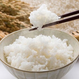 【10kg】令和7年産 山形県産雪若丸 5kg×2