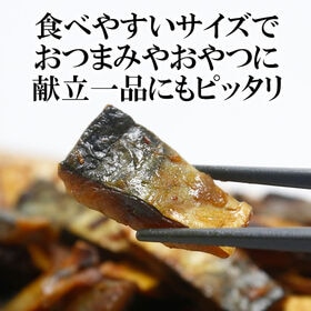 【100g×2袋】炙り鯖 表面は香ばしく、中はふっくらジューシー。