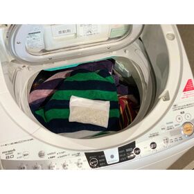 【3個セット】シェルパEX におい＆カビSTOP 洗濯シェルくん（※縦型洗濯機専用）