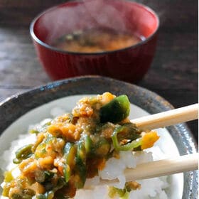 【2袋(計480g)】青唐がらし味噌＆青唐ゆず味噌セット