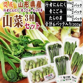【3種300g】山形県産促成山菜＜行者にんにく・青こごみ・たらの芽＞(冷蔵便)