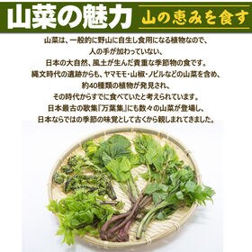 【3種300g】山形県産促成山菜＜行者にんにく・青こごみ・たらの芽＞(冷蔵便)