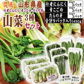 【3種450g】山形県産促成山菜＜行者にんにく・青こごみ・たらの芽＞(冷蔵便)