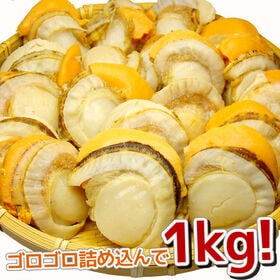 【約1kg(16-20玉入)】北海道産ボイルほたて2Lサイズ [[ボイルホタテ1kg]