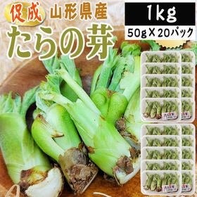 【1kg】山形県産 促成山菜 たらの芽 50g×20パック(クール便)