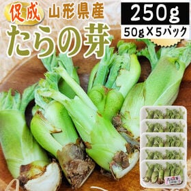 【250g】山形県産 促成山菜 たらの芽 50g×5パック(クール便)