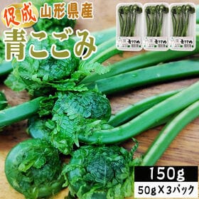 【150g】山形県産 促成山菜 青こごみ 50g×3パック(クール便)