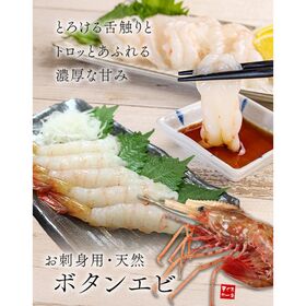 【1kg(20∼32尾)】超特大ボタンエビ [[ぼたんエビ500g-2p]