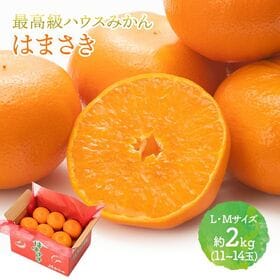 【 約2kg】佐賀県産 はまさき （M・Lサイズ）