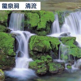 【1L×12本】岩手県岩泉町　龍泉洞の水 pH8.0弱アルカリ性 ミネラルウォーター軟水