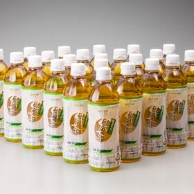 【500ml×48本】岩手県岩泉　龍泉洞の緑茶　ペットボトル　岩泉ホールディングス　宅配便2個口配送