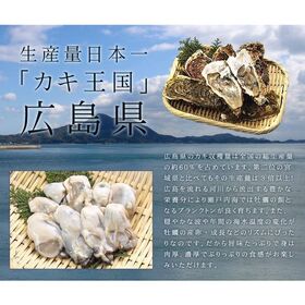 【1kg】広島産カキ肉厚ぷりっぷり迫力の2Lサイズ！加熱用　[[牡蠣1kg]