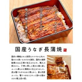 【170g-160g×1尾】うなぎ ウナギ 国産 長蒲焼き [[ウナギ長蒲焼き-1p]