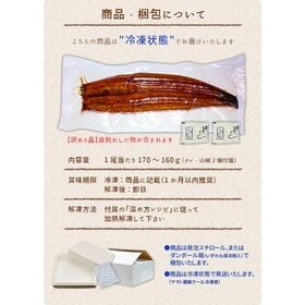 【170g-160g×1尾】うなぎ ウナギ 国産 長蒲焼き [[ウナギ長蒲焼き-1p]