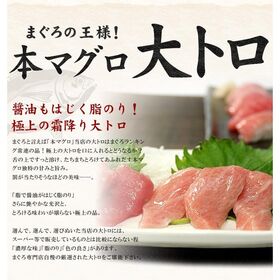【400g(200g×2サク)】本マグロ大トロ 解凍レシピ付[[本鮪大トロ-2p]