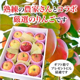 【3kg以上(秀品 12玉)】青森県産サンふじりんご