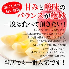 【約1.9kg(秀品 7玉)】青森県産サンふじりんご