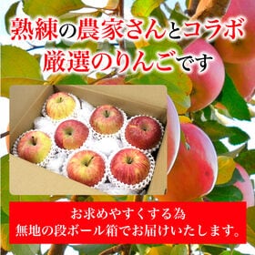 【約1.9kg(秀品 7玉)】青森県産サンふじりんご