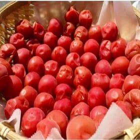 【日替わり数量限定】【2kg】紀州南高梅つぶれ 味梅(はちみつ)(500g×4パック)塩分8％【先行チケット利用NG】