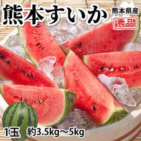 【予約受付】4/24~順次出荷【1玉 約3.5~5kg】熊本...