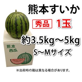 【予約受付】4/24~順次出荷【1玉 約3.5~5kg】熊本県産 すいか 秀品
