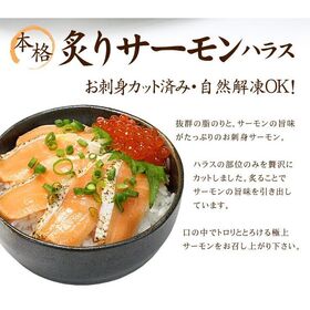 【140g(20切入)】炙りサーモンハラス お刺身カット済・自然解凍OK [[炙りサーモン]