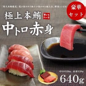 【640g】本マグロ中トロ・赤身たっぷりセット 解凍レシピ付[[中赤セット-2p