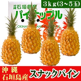 【予約受付】4/27~順次出荷【3kg(3~5玉)】石垣島産 スナックパイン（ボゴールパイン）