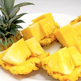 【予約受付】4/27~順次出荷【3kg(3~5玉)】石垣島産 スナックパイン（ボゴールパイン）