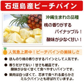 【予約受付】3/15~順次出荷【3kg(3-5玉)】石垣島の冬パイン（ピーチパイン）