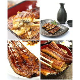 【500g】国産 うなぎ長蒲焼き 身割れ・不揃い かばやき 海鮮 [[ウナギ蒲焼き500g]