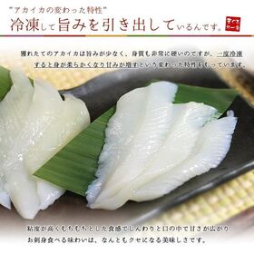 【140g(20切入)】アカイカ お刺身用スライス