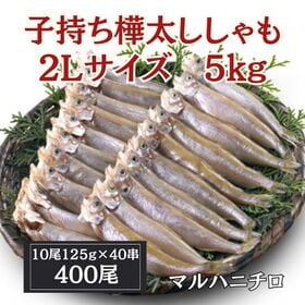 【賞味期限間近】【5kg/400尾(1尾125g/10尾×40串)】マルハニチロ 子持ちししゃも