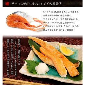 【400g】サーモンハラス 加熱用[[サーモンハラス400g]
