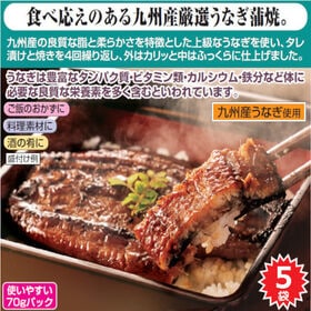 【5袋】九州産カット鰻