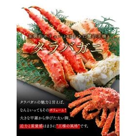 【1肩2.0kg】超特大ボイルタラバ蟹脚 1肩2.0kg[[ボイルタラバ蟹2.0kg]