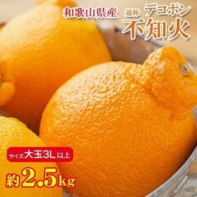 【約2.5kg/大玉3Lサイズ】和歌山県産 不知火  (ご家庭用・傷あり) | 旬の果物、ほどよい酸味があり濃厚な味わいをお楽しみください。
