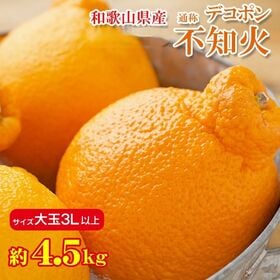 【約4.5kg/大玉3Lサイズ】和歌山県産 不知火  (ご家庭用・傷あり)