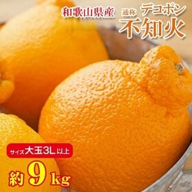 【約9kg/大玉3Lサイズ】和歌山県産 不知火  (ご家庭用・傷あり) | 旬の果物、ほどよい酸味があり濃厚な味わいをお楽しみください。