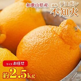 【約2.5kg/サイズお任せ】和歌山県産 不知火 (ご家庭用・傷あり) | 旬の果物、ほどよい酸味があり濃厚な味わいをお楽しみください。