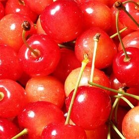 【予約受付】6/10~順次出荷【800g/M・Lサイズ】山形県産さくらんぼ[佐藤錦]