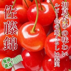 【予約受付】6/20~順次出荷【計600g/Lサイズ】山形県産さくらんぼ[佐藤錦] 秀品