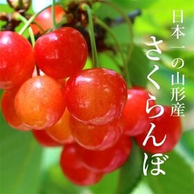 【予約受付】6/25~順次出荷【800g/M・Lサイズ】山形県産さくらんぼ[紅秀峰]