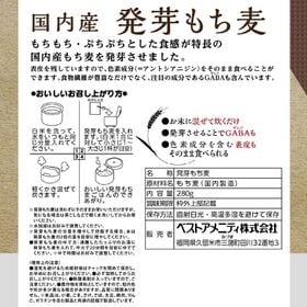 【280g×2袋】国内産 発芽もち麦(ダイシモチ) ベストアメニティ　もちもち ぷちぷち食感