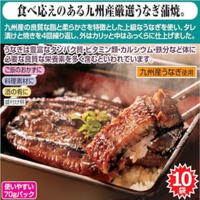 【10袋】九州産カット鰻