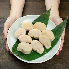 【500g(8-10玉)】平貝 貝柱お刺身用 たいらぎ [[平貝500g]