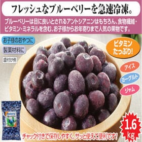 【2袋】大容量！冷凍ブルーベリー